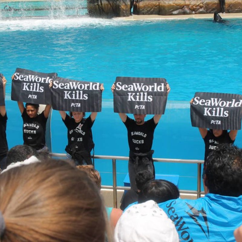SEA WORLD